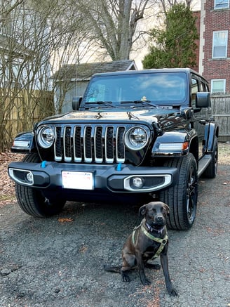 front of jeep wrangler 4x3 with dog sitting next to it