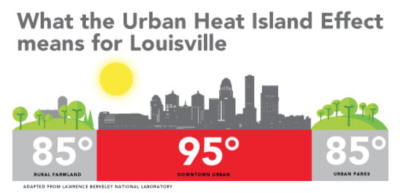 Urban heat island effect consequences for Louisville