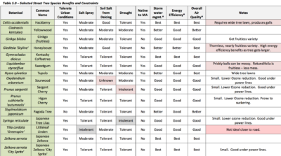 Tree Species Analysis