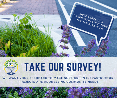 NB Green Infrastructure Survey