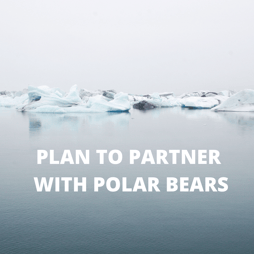 PLAN TO PARTNER WITH POLAR BEARS