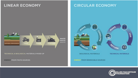 Linear Economy vs. Circular Economy infographic