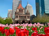 Trinity-Church,-Copley-Square,-Boston-USA-000052280956_Large