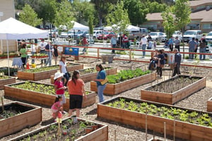 Vallejo PB Community Gardens.jpg