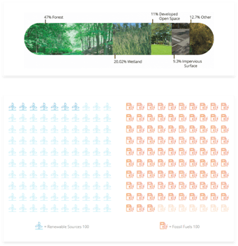Data Visualization