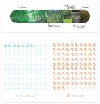 Data Visualization