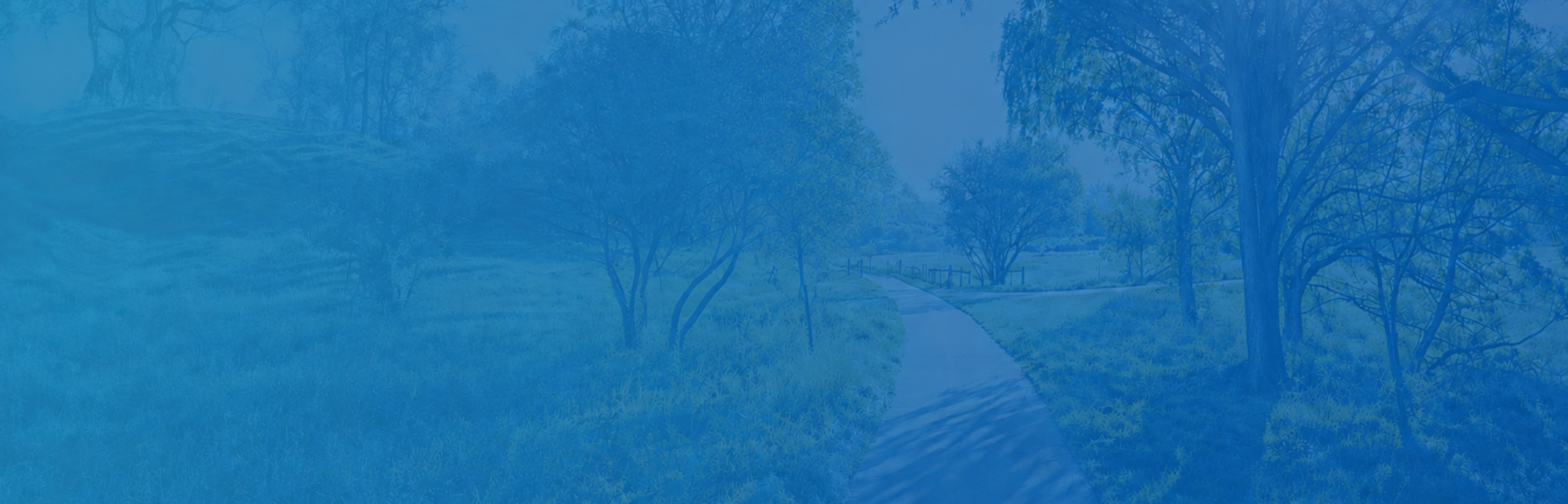 KLA-Blue-Woodland-Hero-No-Text-2917x938